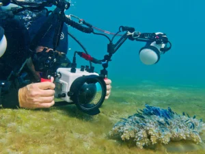 Underwater Housing: 