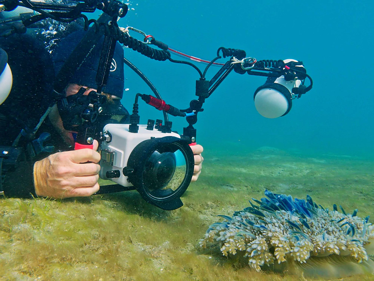 Underwater Housing: